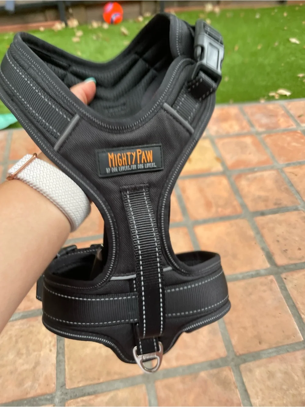 Black Padded Dog Harness